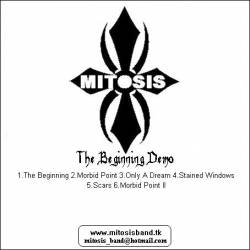 Mitosis : The Beginning